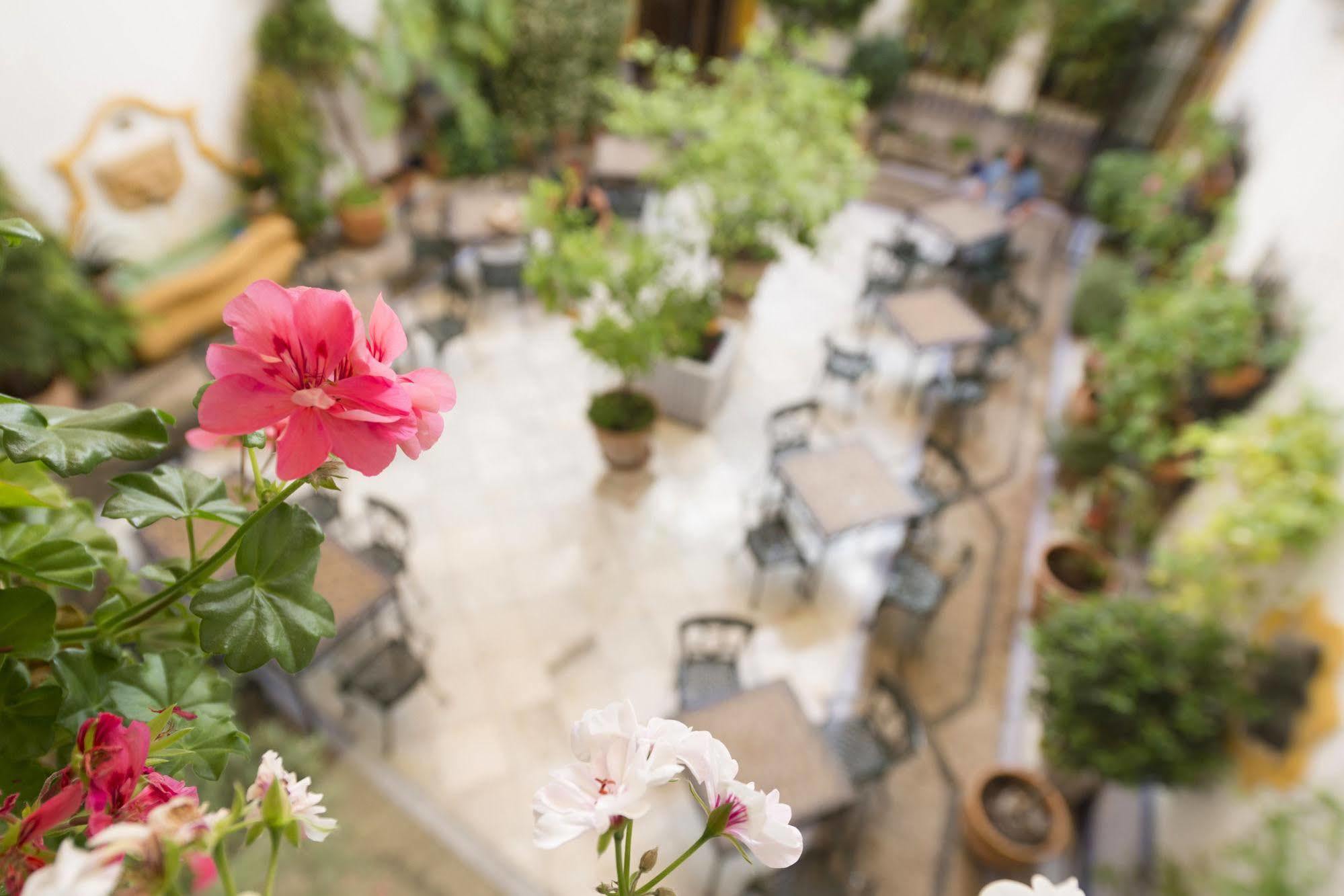 Hotel Eurostars Maimonides Kordoba